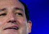 Ted Cruz is a leader of the Tea Party movement