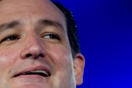 Ted Cruz is a leader of the Tea Party movement