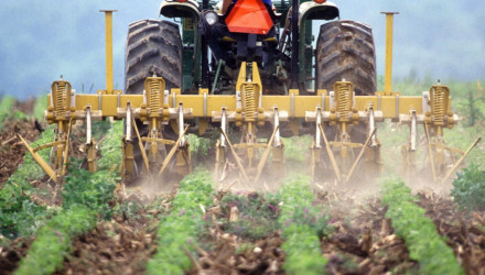 NFL lineman turned farmer