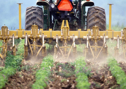 NFL lineman turned farmer