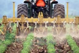 NFL lineman turned farmer