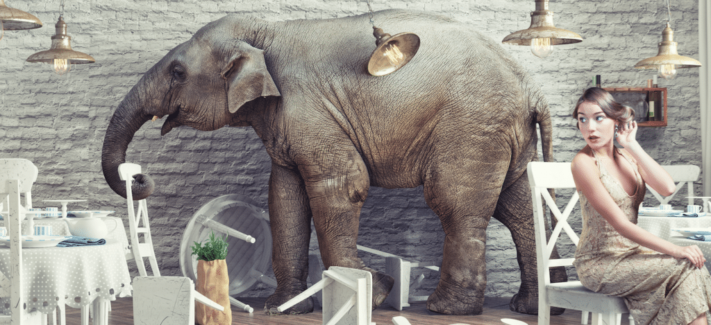 During the sales process, it's important you address the elephant in the room right away.