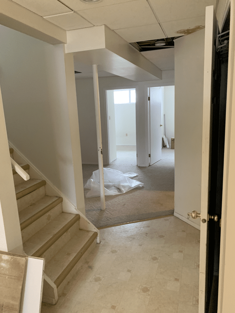 Basement suite renovation